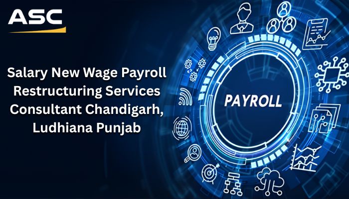 Salary Restructuring Consultant Chandigarh Ludhiana Punjab